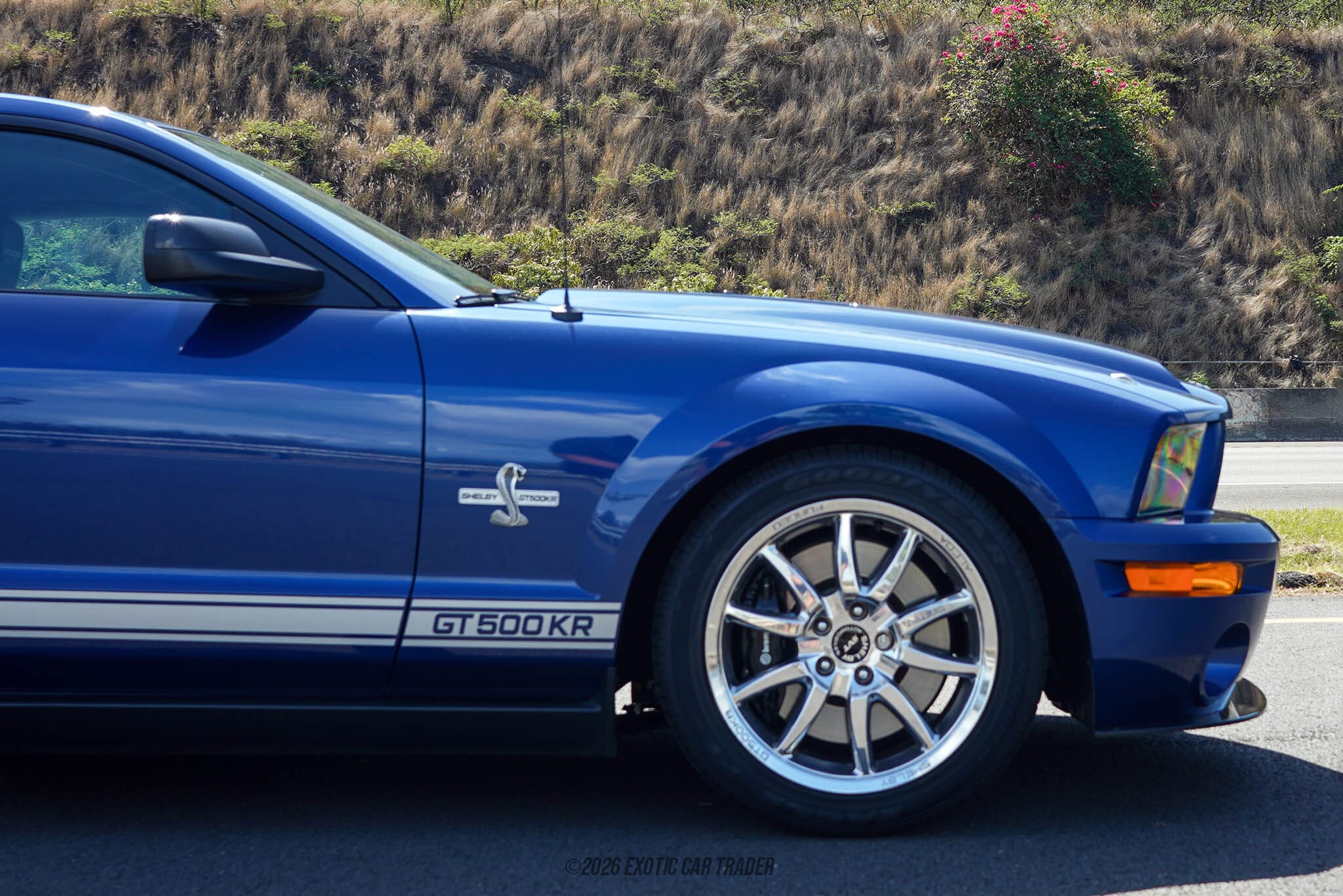 2009 Ford Mustang Shelby GT500KR for sale