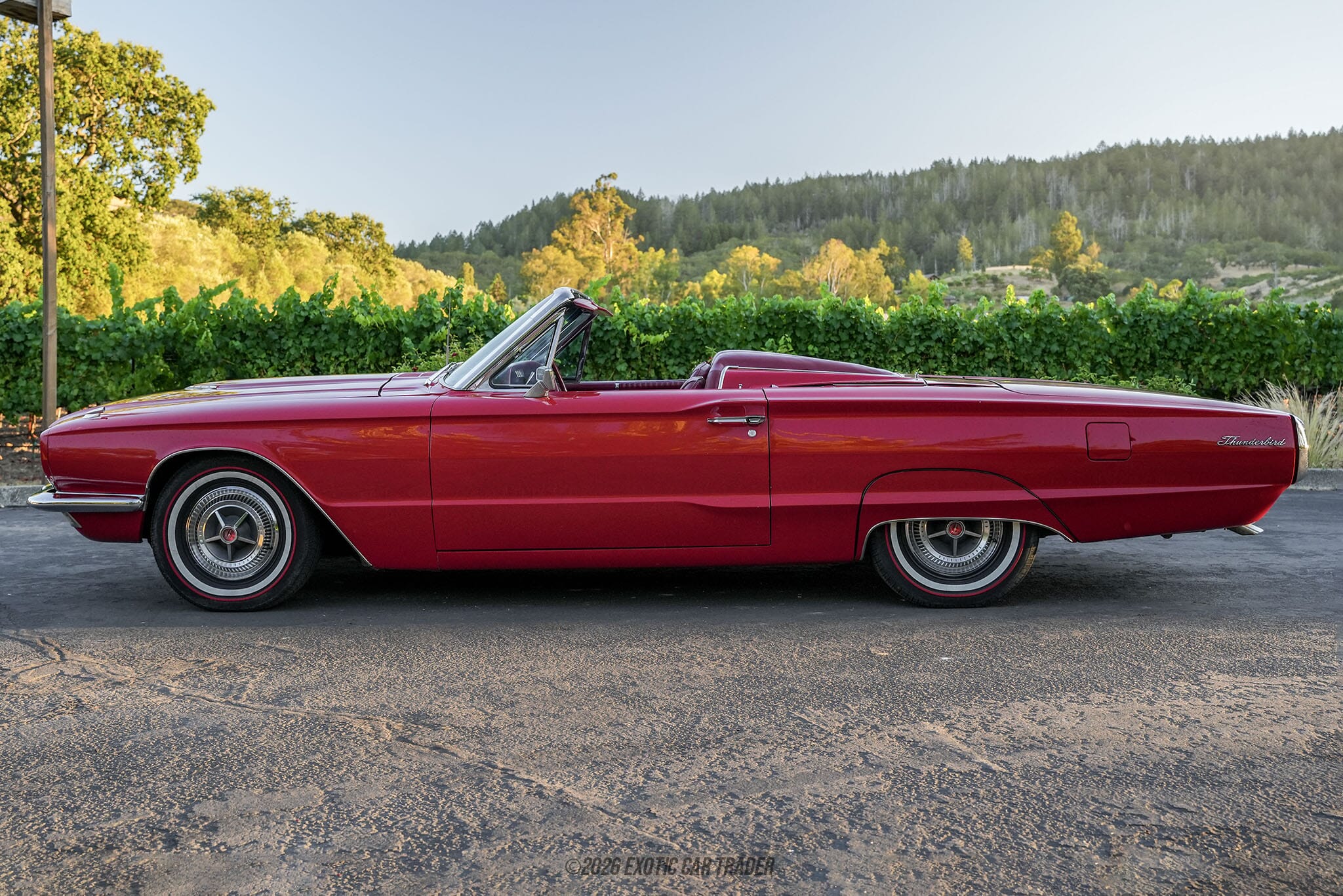 1966 Ford Thunderbird for sale