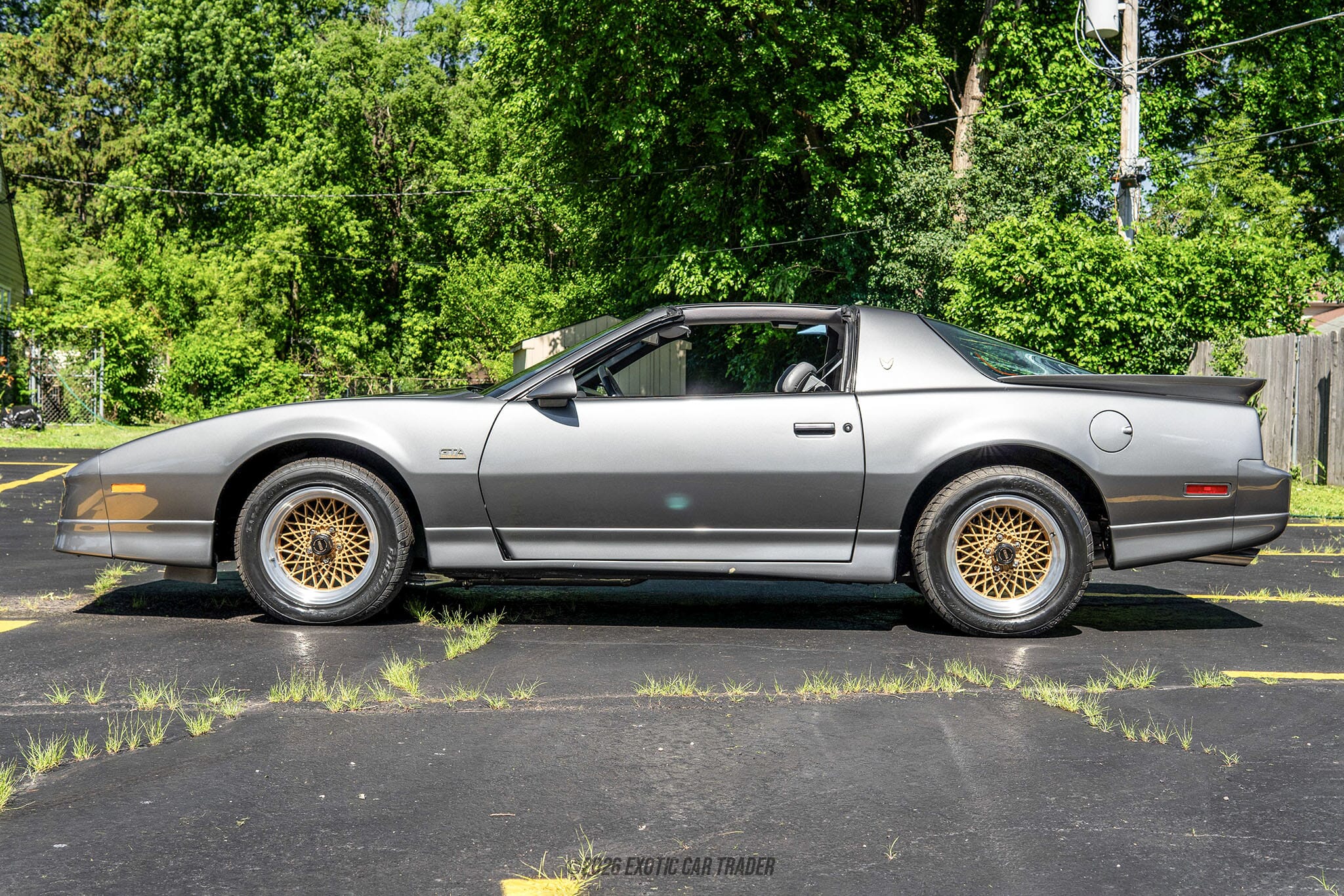 1989 Pontiac Firebird Trans Am GTA for sale