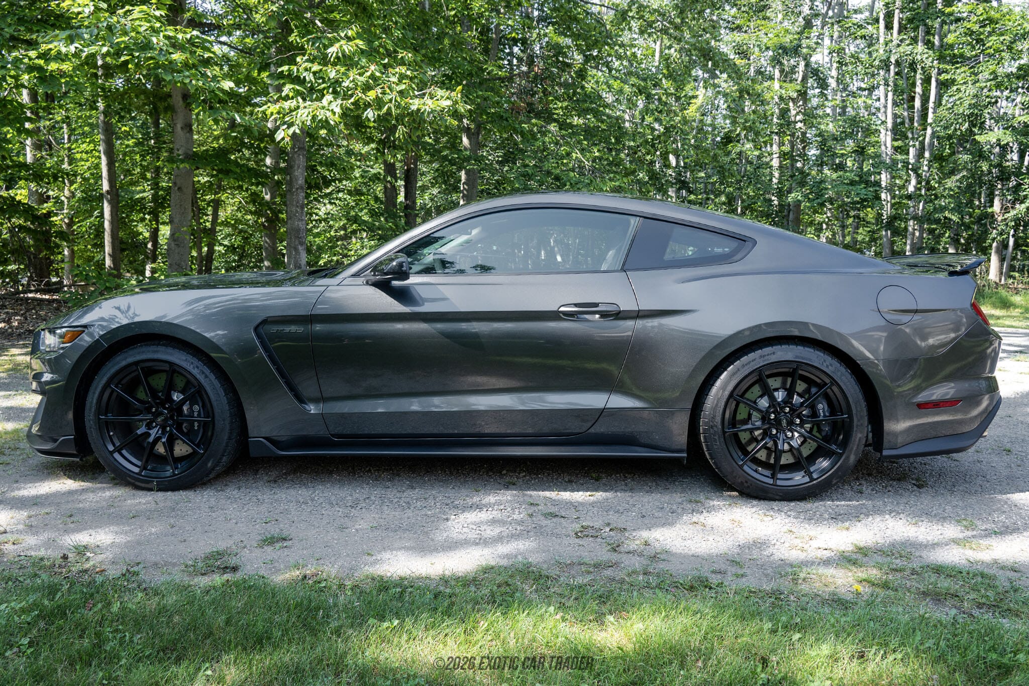 2015 Ford Mustang Shelby GT350 50th Anniversary Track Package for sale