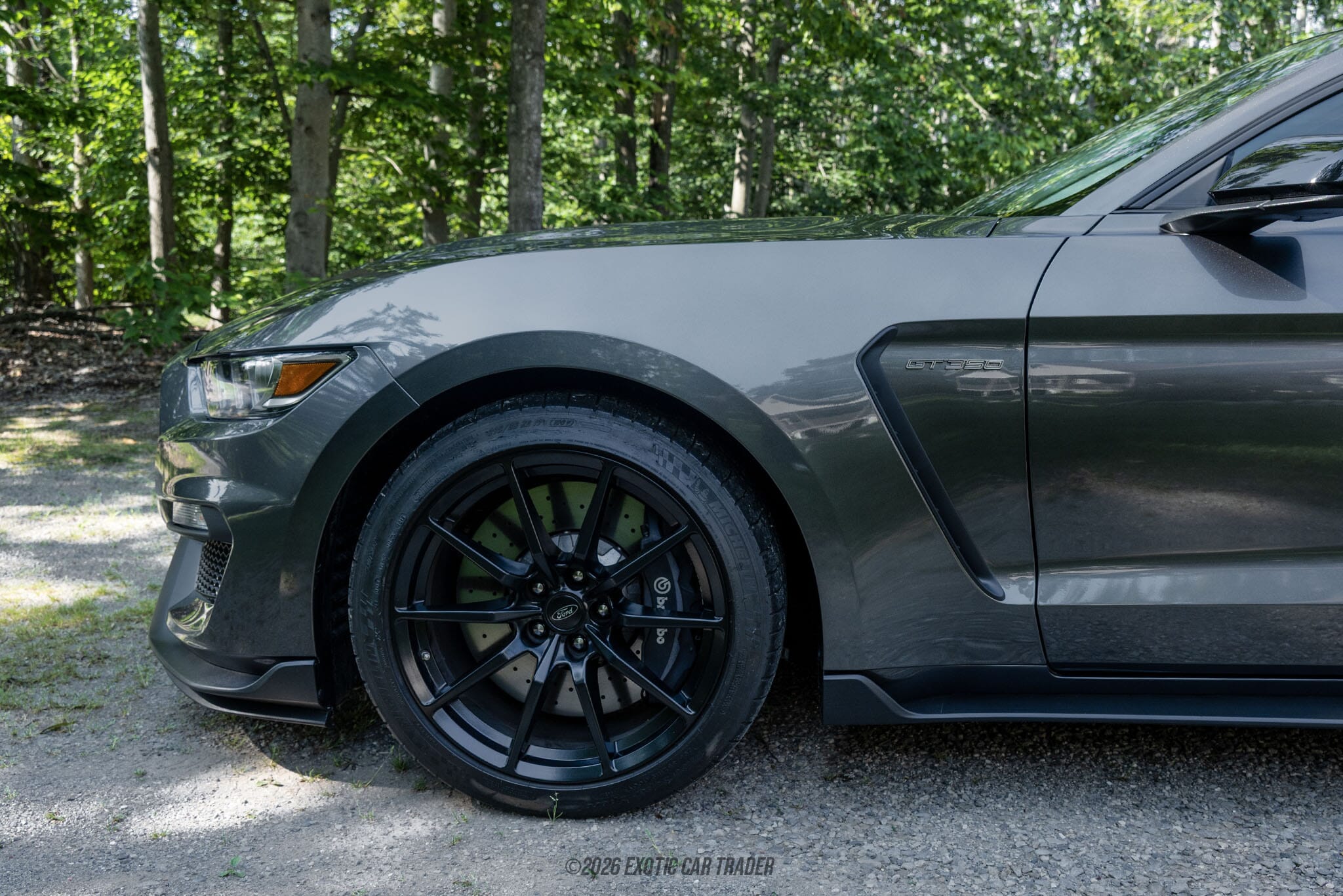 2015 Ford Mustang Shelby GT350 50th Anniversary Track Package for sale