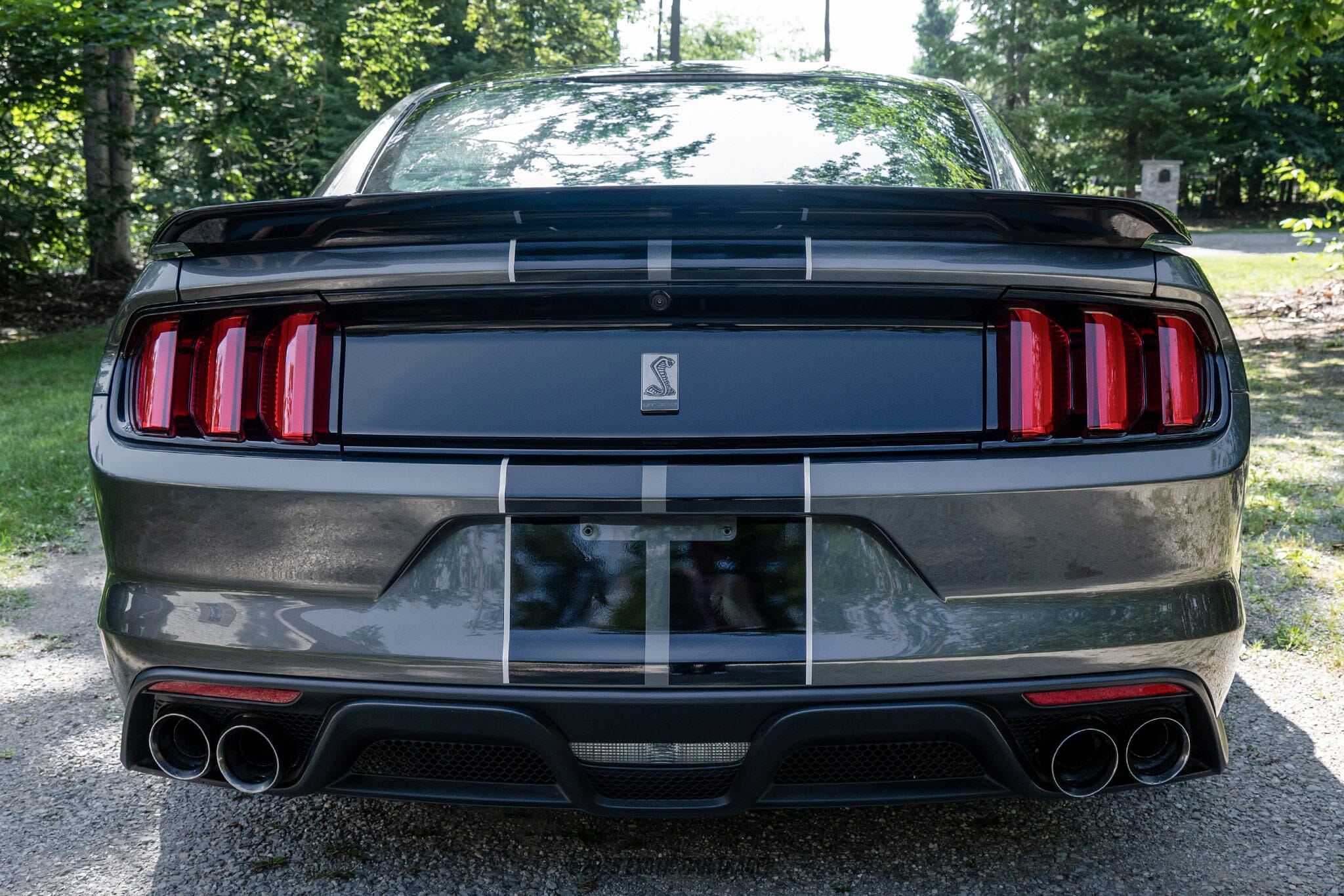2015 Ford Mustang Shelby GT350 50th Anniversary Track Package for sale