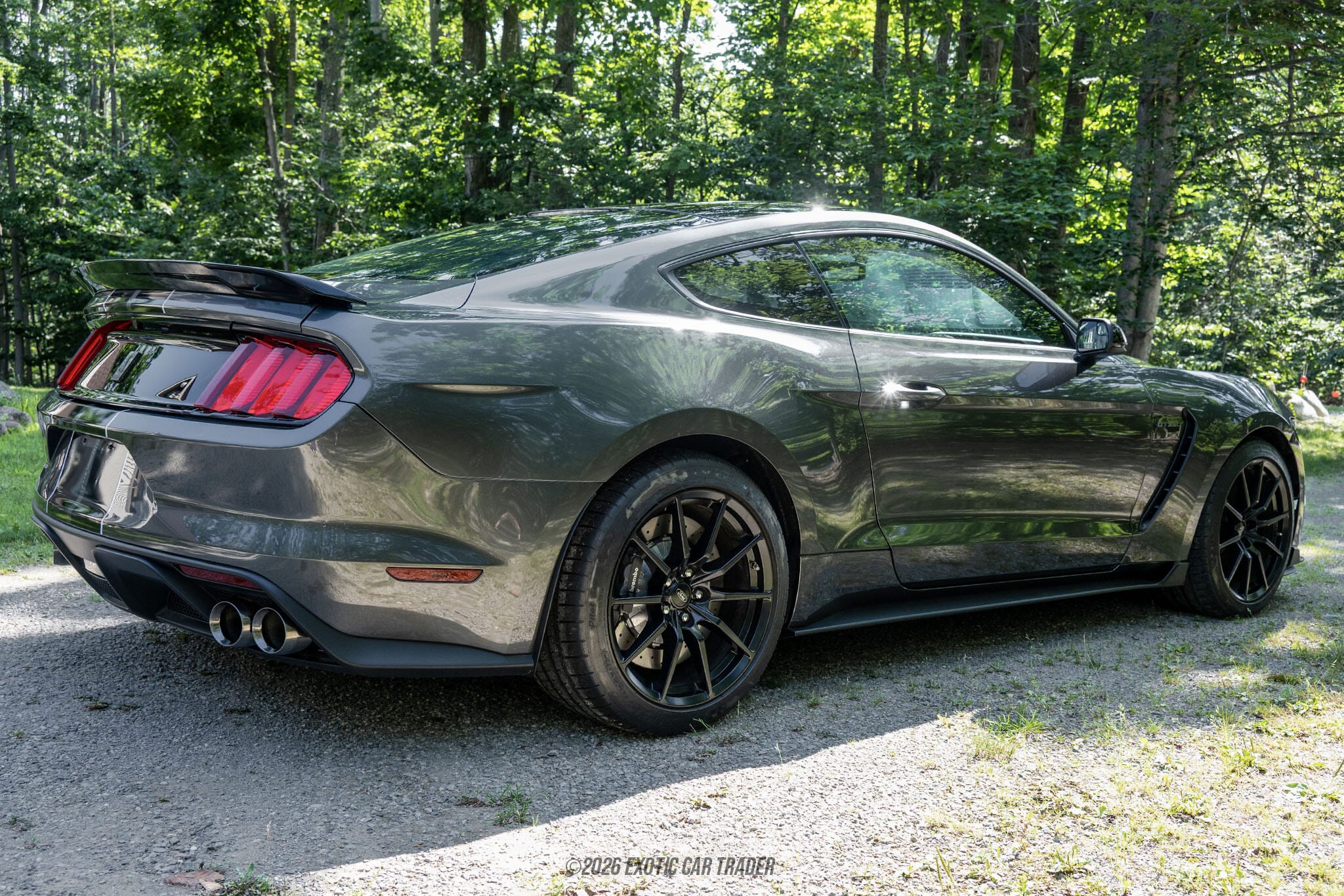 2015 Ford Mustang Shelby GT350 50th Anniversary Track Package for sale