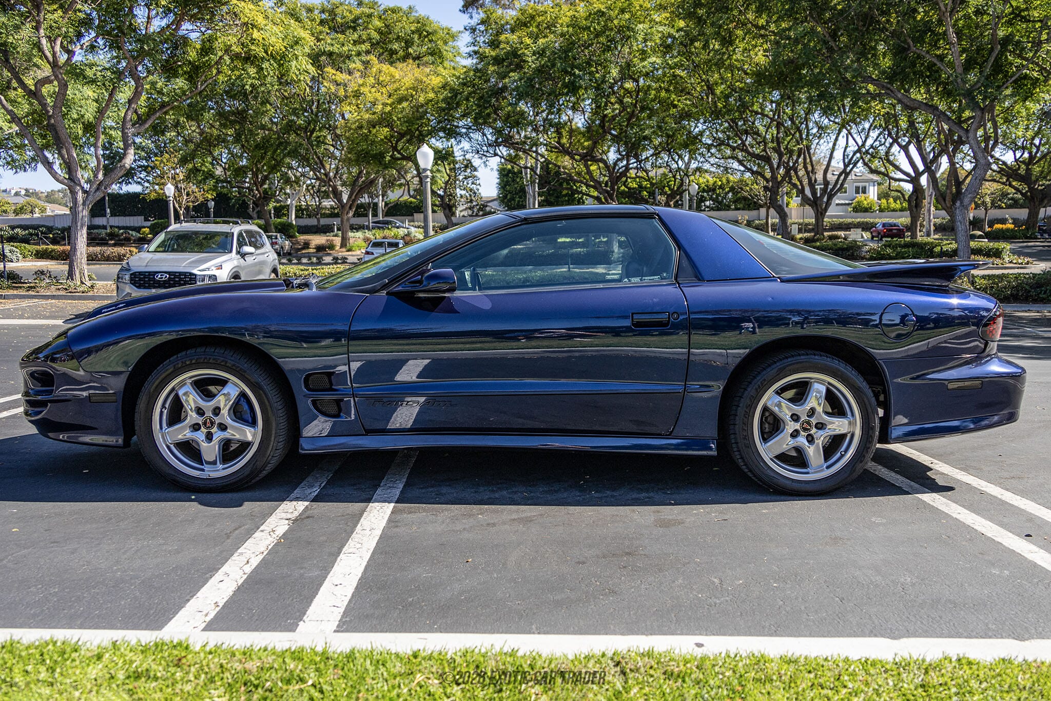 2002 Pontiac Firebird Trans Am for sale