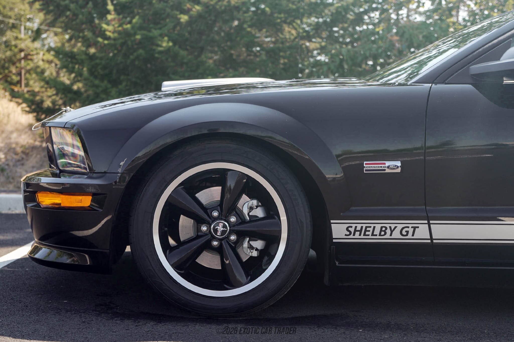 2007 Ford Mustang Shelby GT for sale