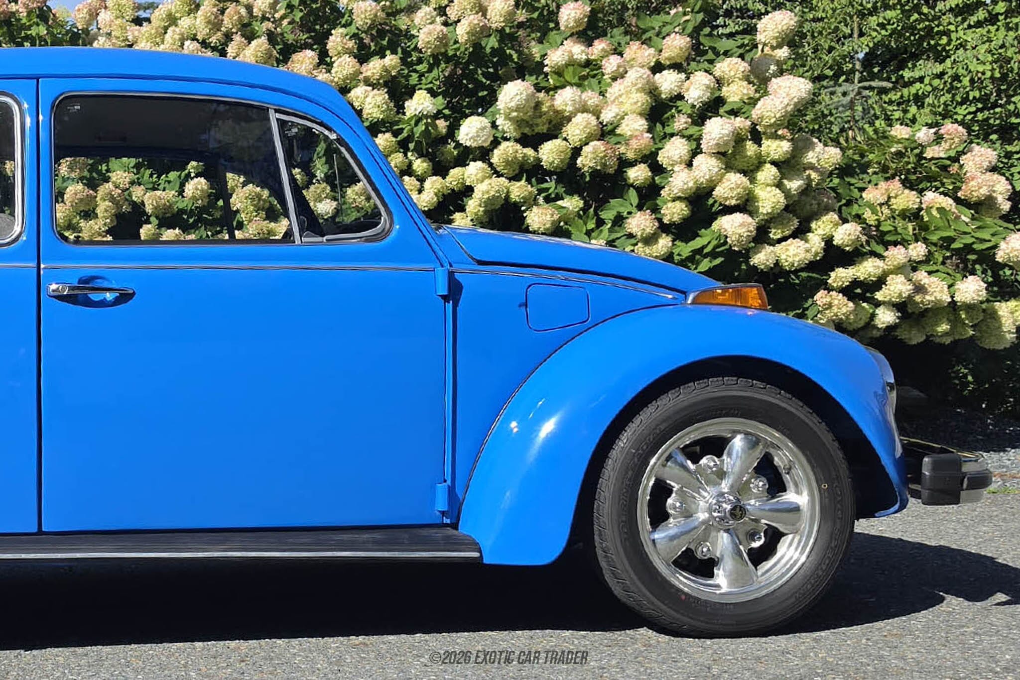 1974 Volkswagen Beetle for sale