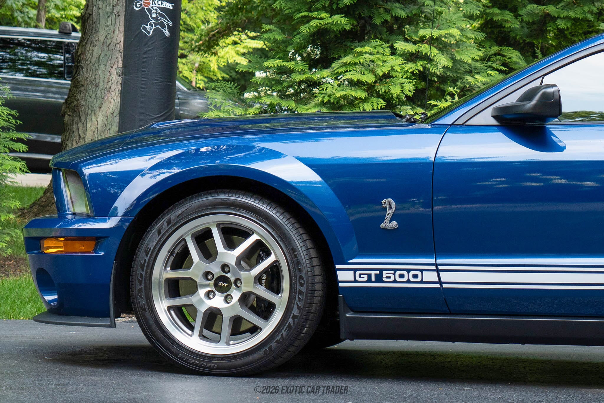 2008 Ford Mustang Shelby GT500 for sale