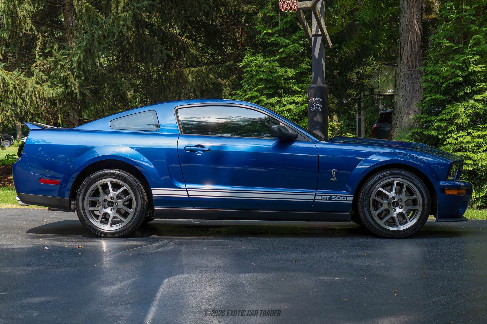 2008 Ford Mustang Shelby GT500 for sale