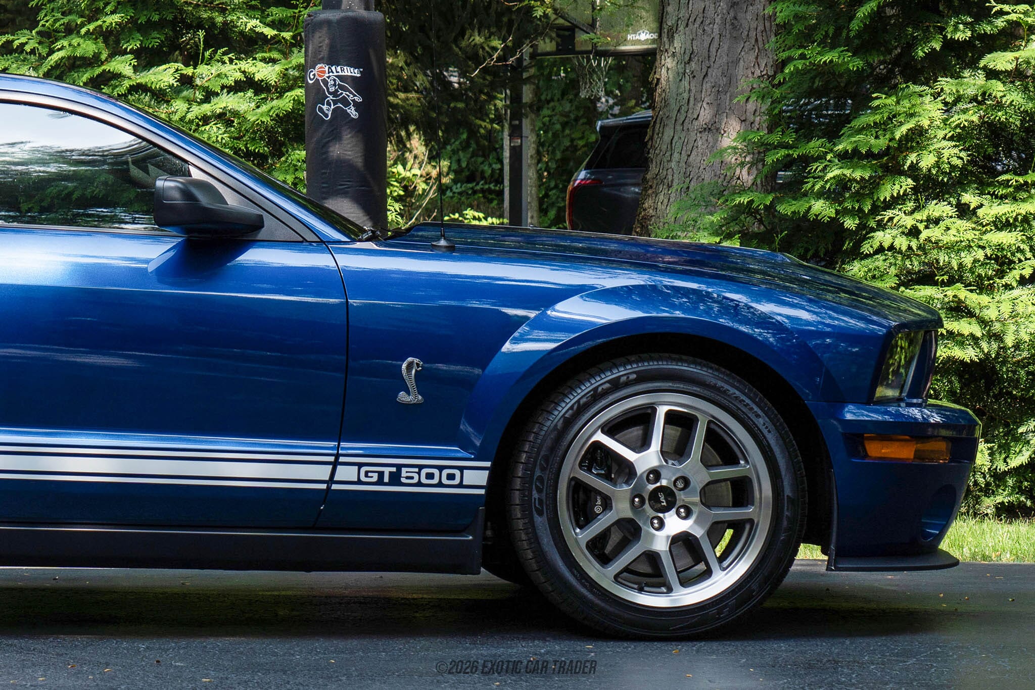 2008 Ford Mustang Shelby GT500 for sale