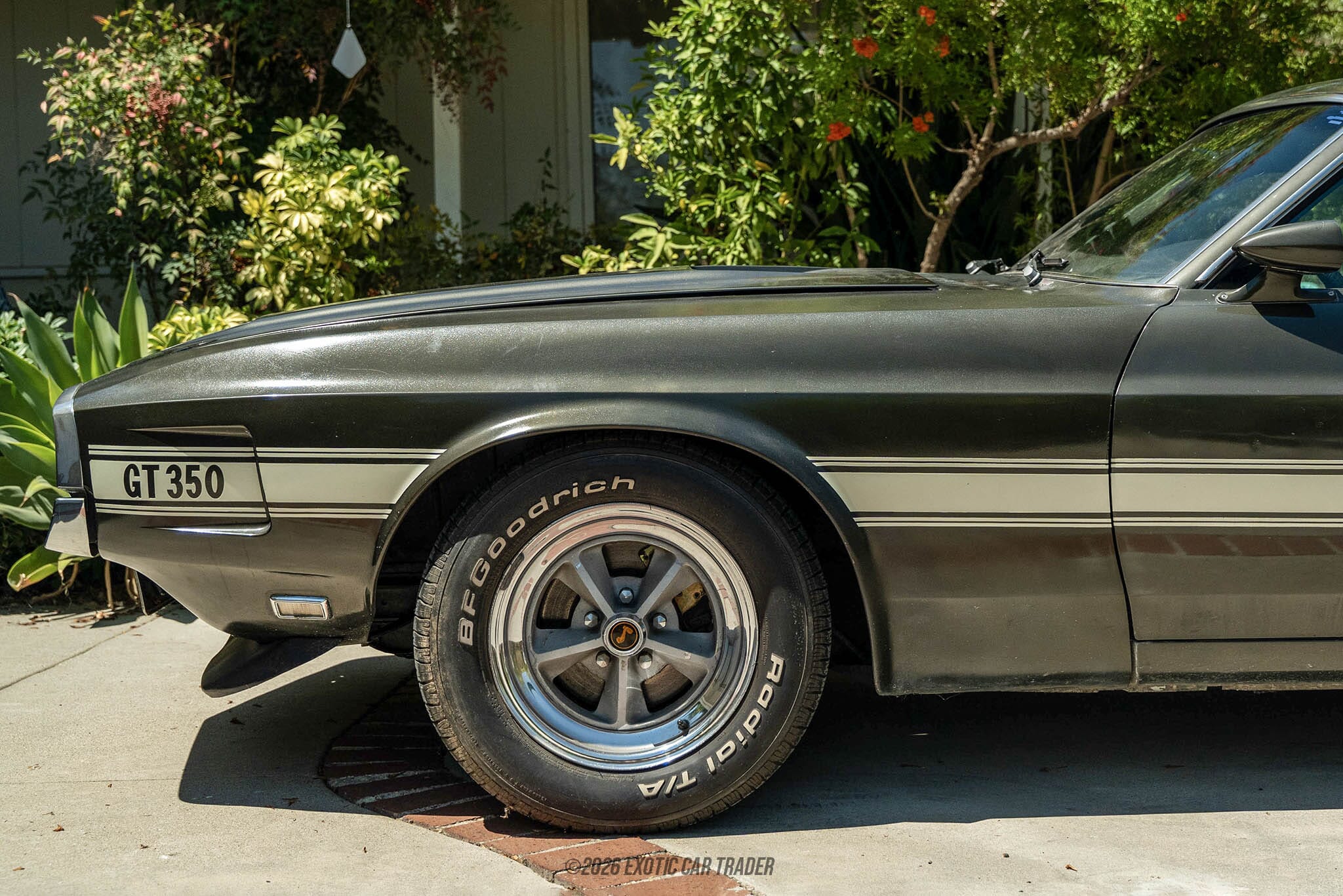 1969 Ford Mustang Shelby GT350 for sale