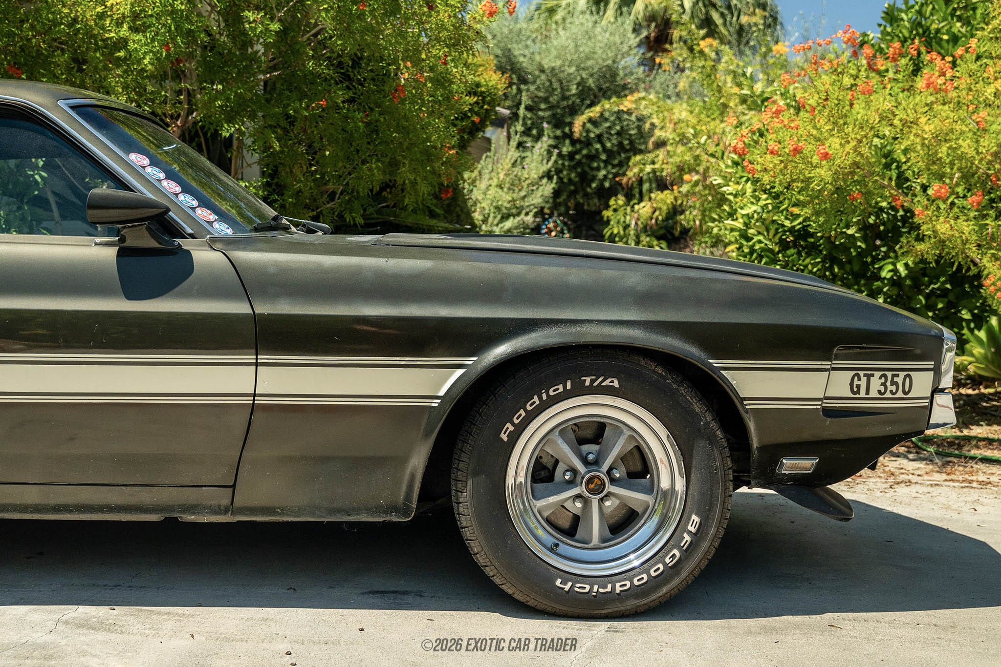 1969 Ford Mustang Shelby GT350 for sale