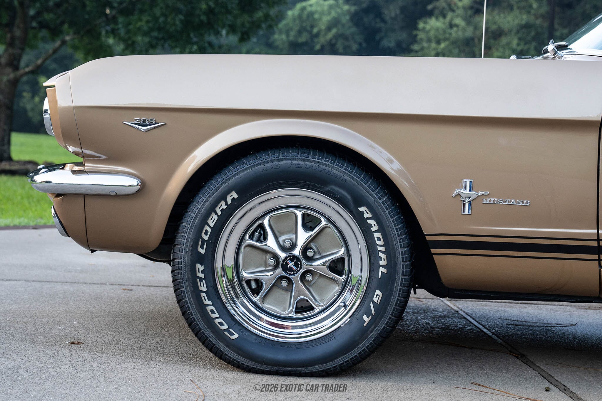 1964 Ford Mustang Hardtop for sale