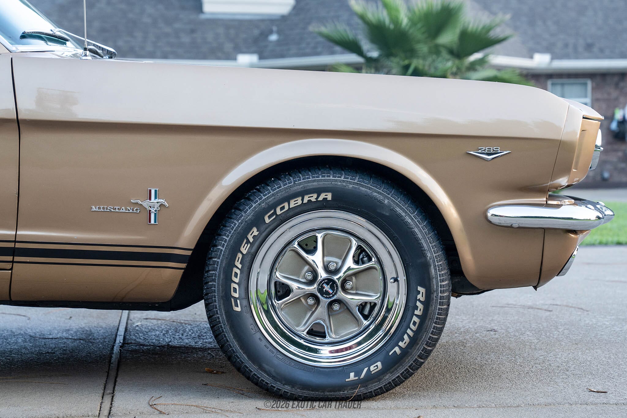 1964 Ford Mustang Hardtop for sale