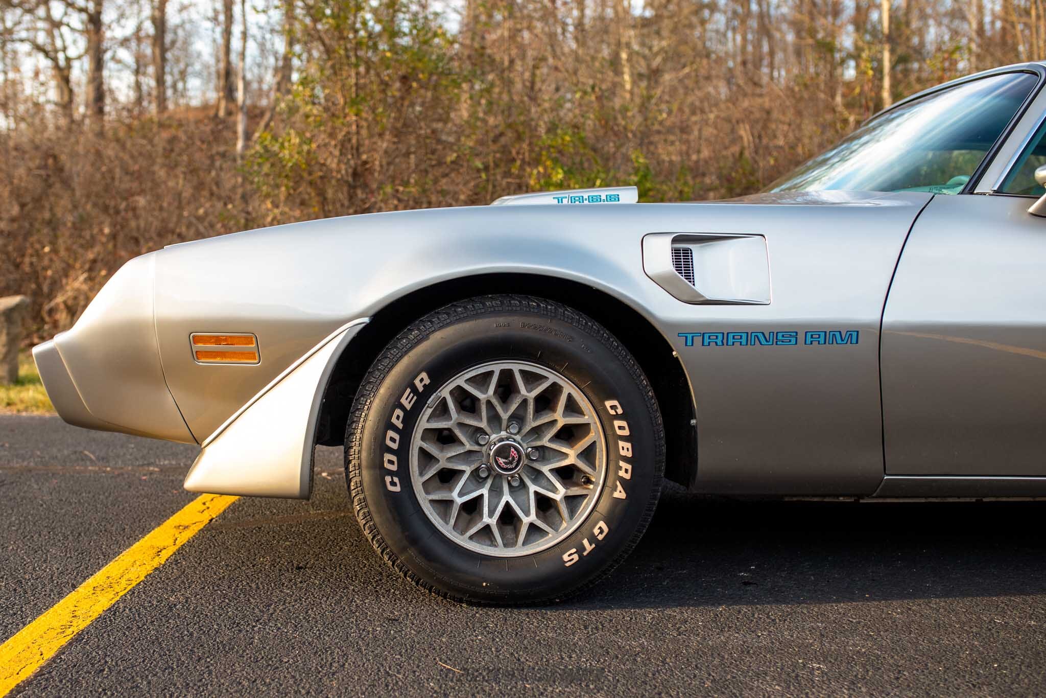 1979 Pontiac Firebird Trans Am for sale