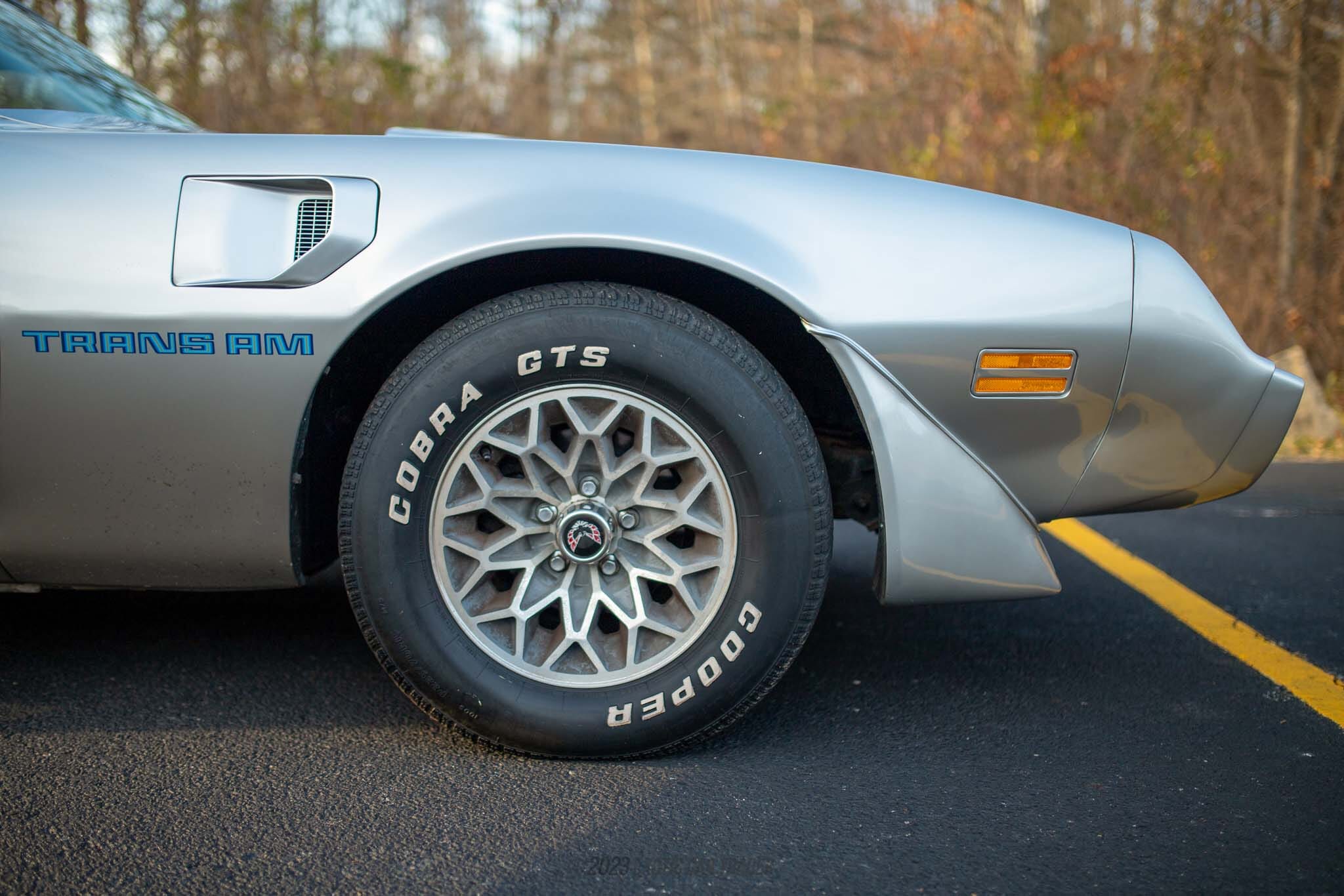 1979 Pontiac Firebird Trans Am for sale