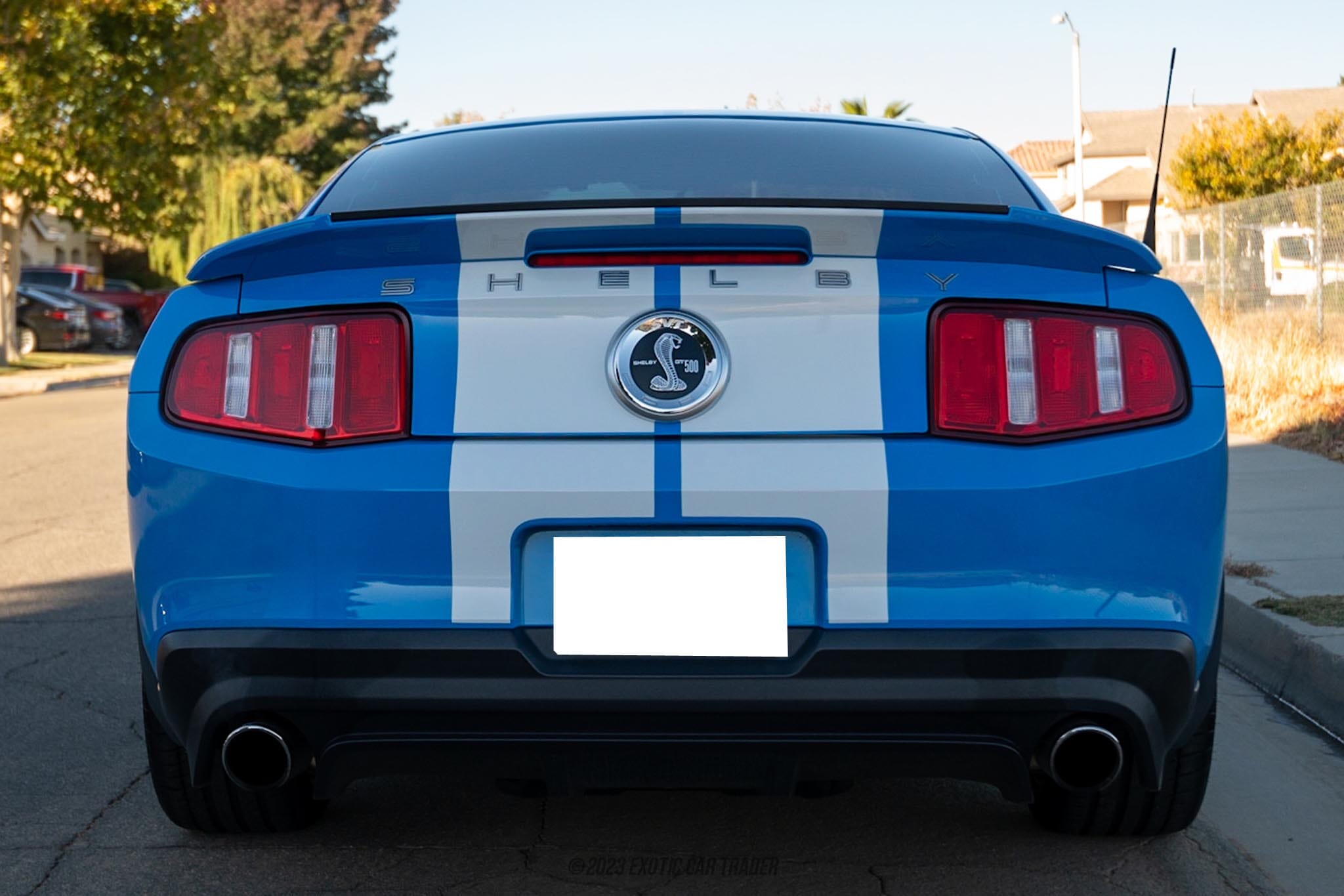 2010 Ford Mustang Shelby GT500 for sale