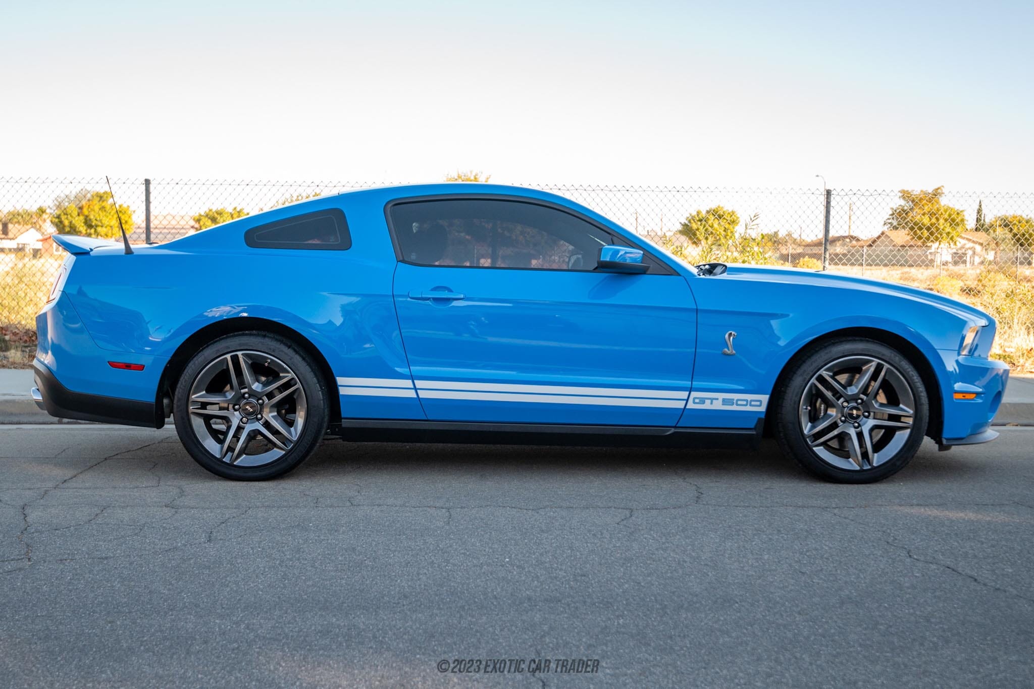 2010 Ford Mustang Shelby GT500 for sale