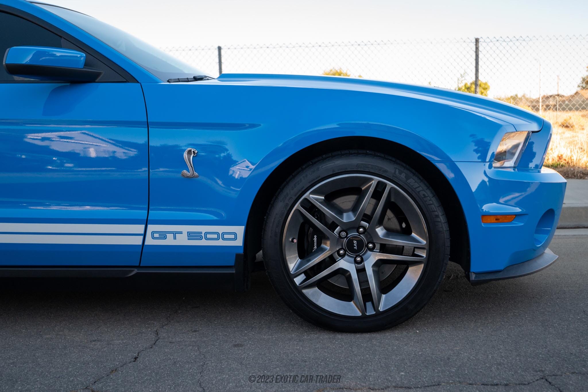 2010 Ford Mustang Shelby GT500 for sale