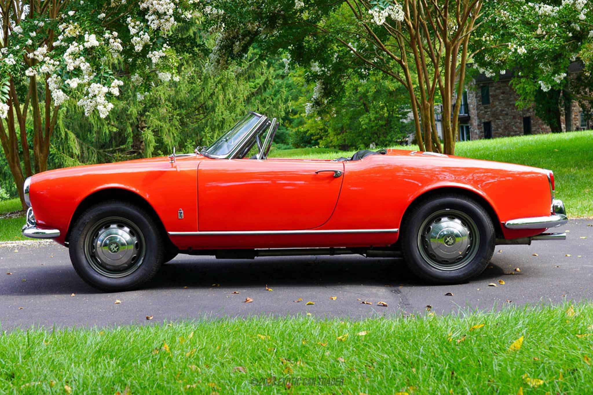1965 Alfa Romeo Giulia Spider 1600 for sale