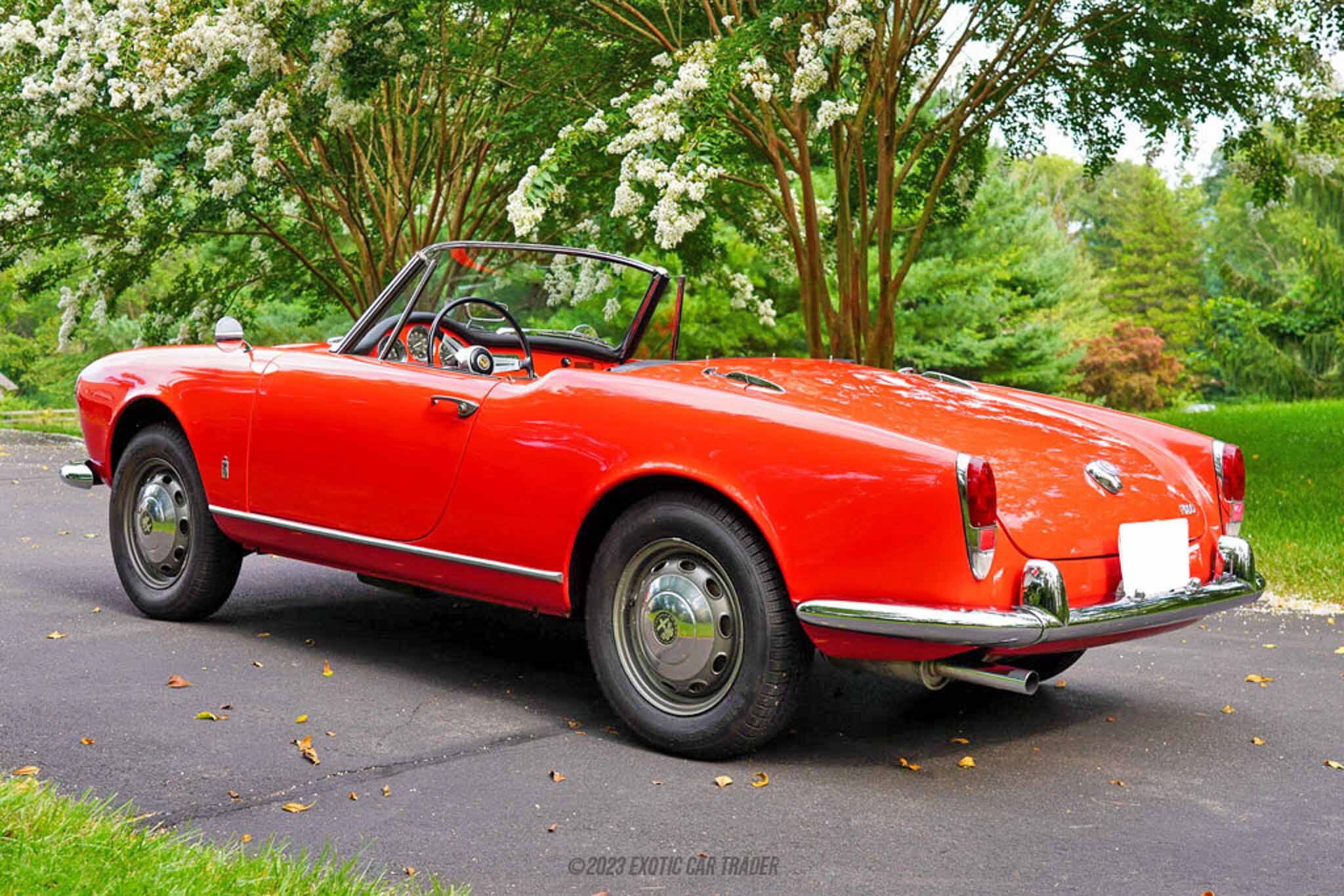 1965 Alfa Romeo Giulia Spider 1600 for sale