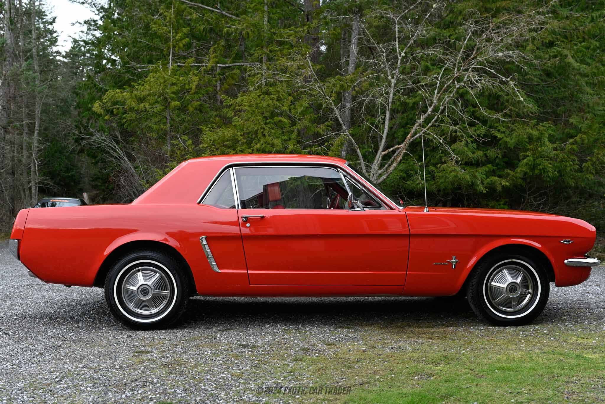 1965 Ford Mustang Coupe for sale