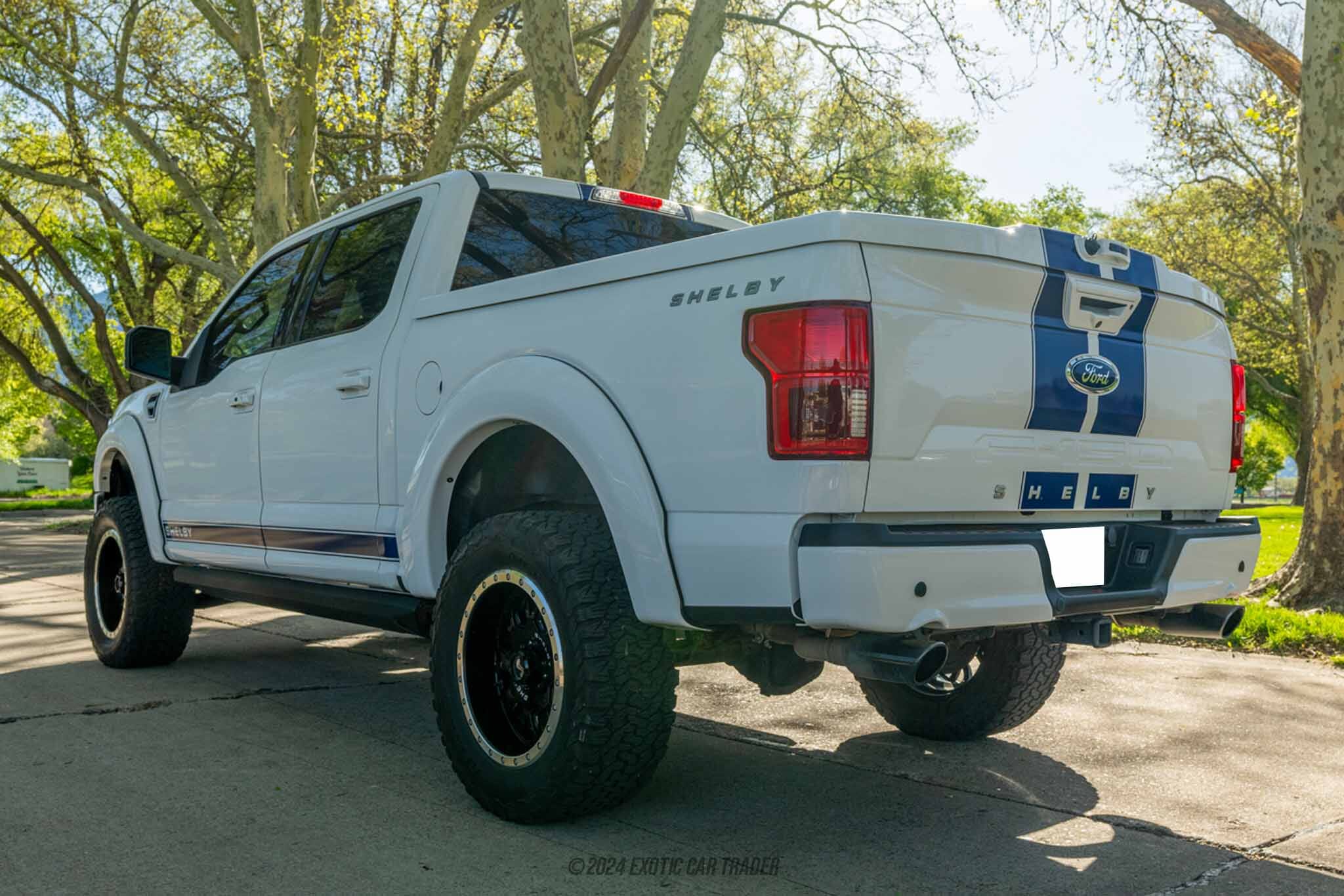 2020 Ford F-150 Shelby Super Snake for sale