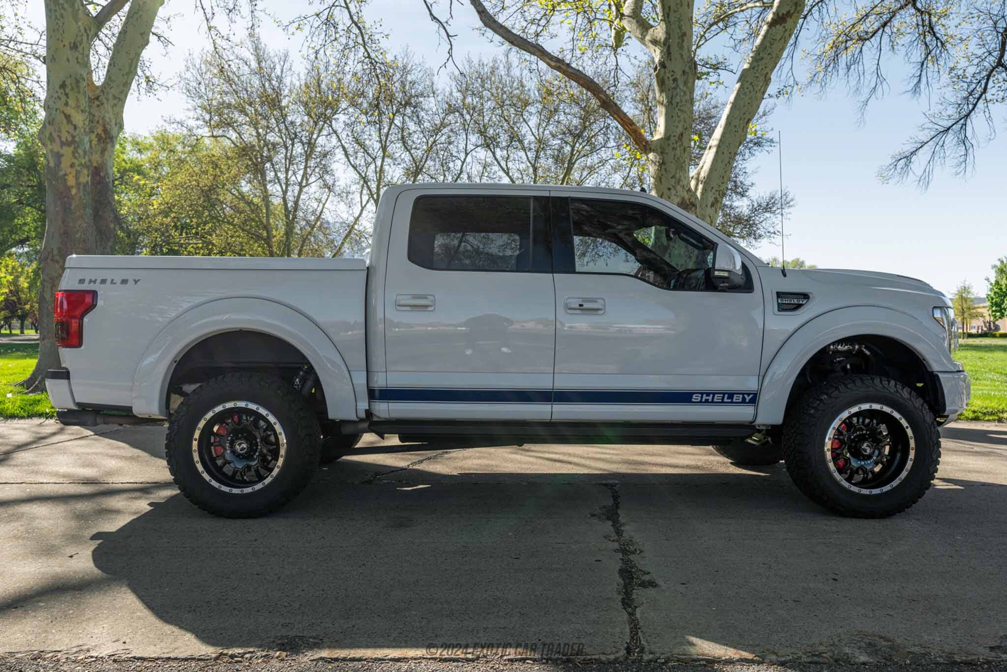 2020 Ford F-150 Shelby Super Snake for sale