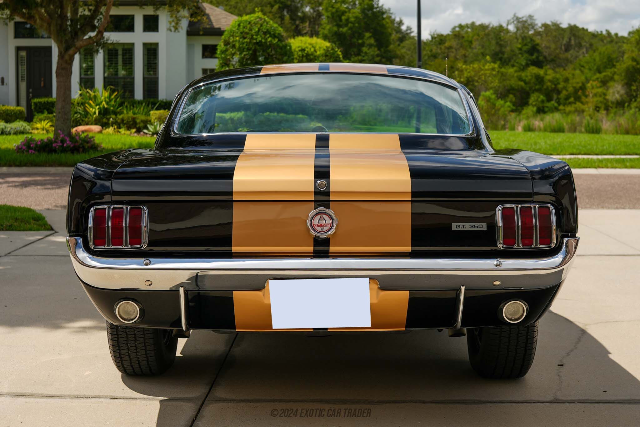 1966 Ford Mustang Shelby GT350H for sale