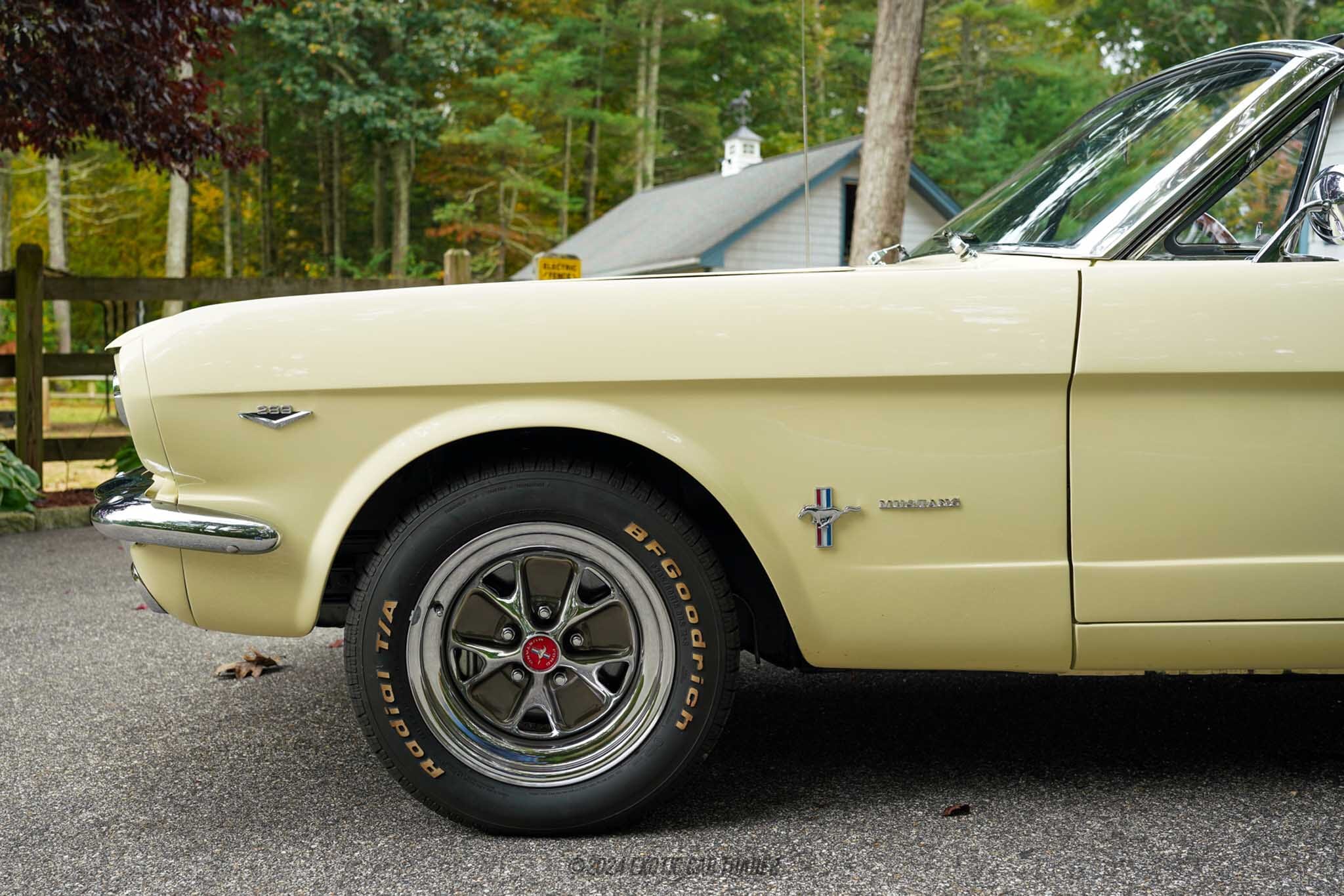 1965 Ford Mustang for sale