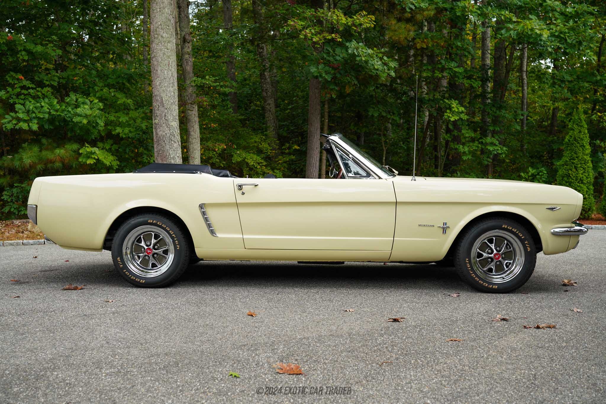 1965 Ford Mustang for sale