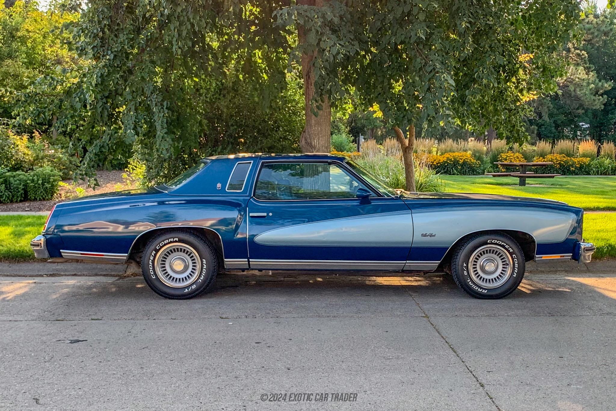 1976 Chevrolet Monte Carlo Coupe for sale