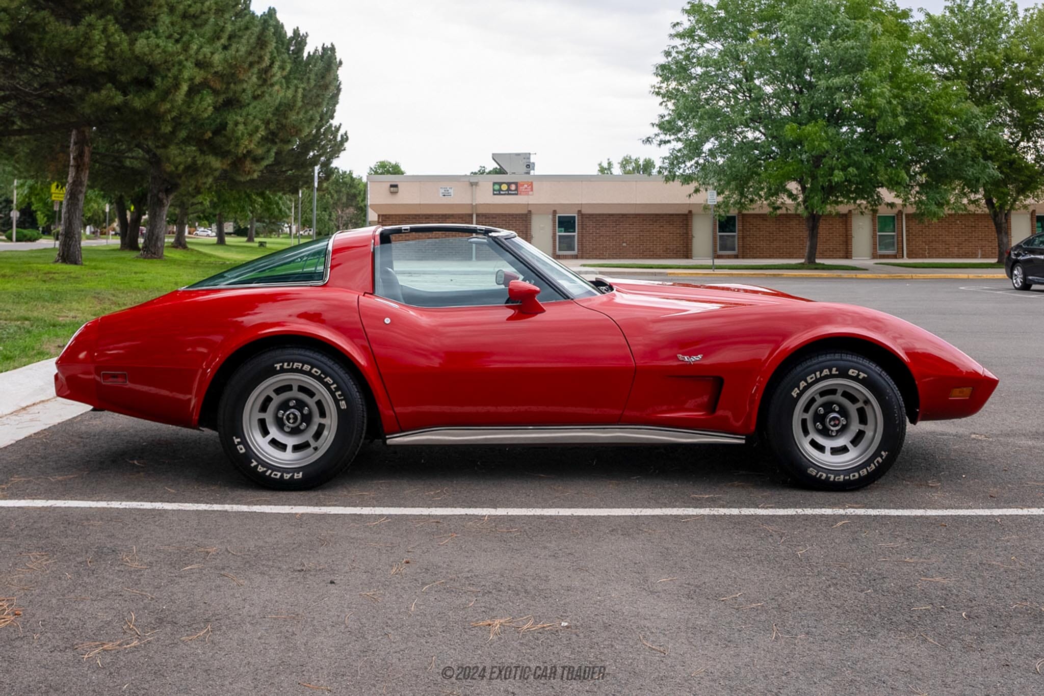 1979 Chevrolet Corvette for sale