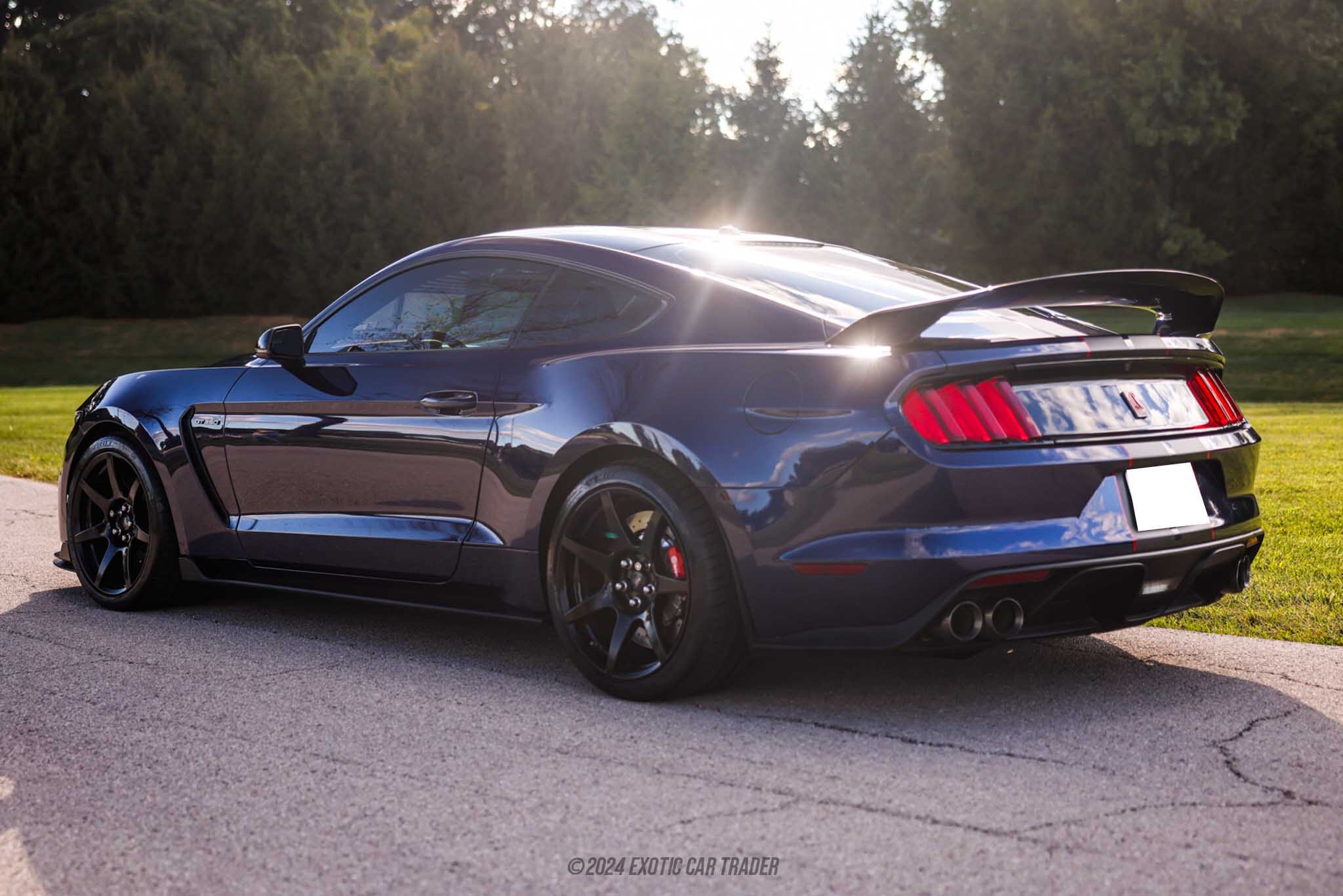 2018 Ford Mustang Shelby GT350R for sale