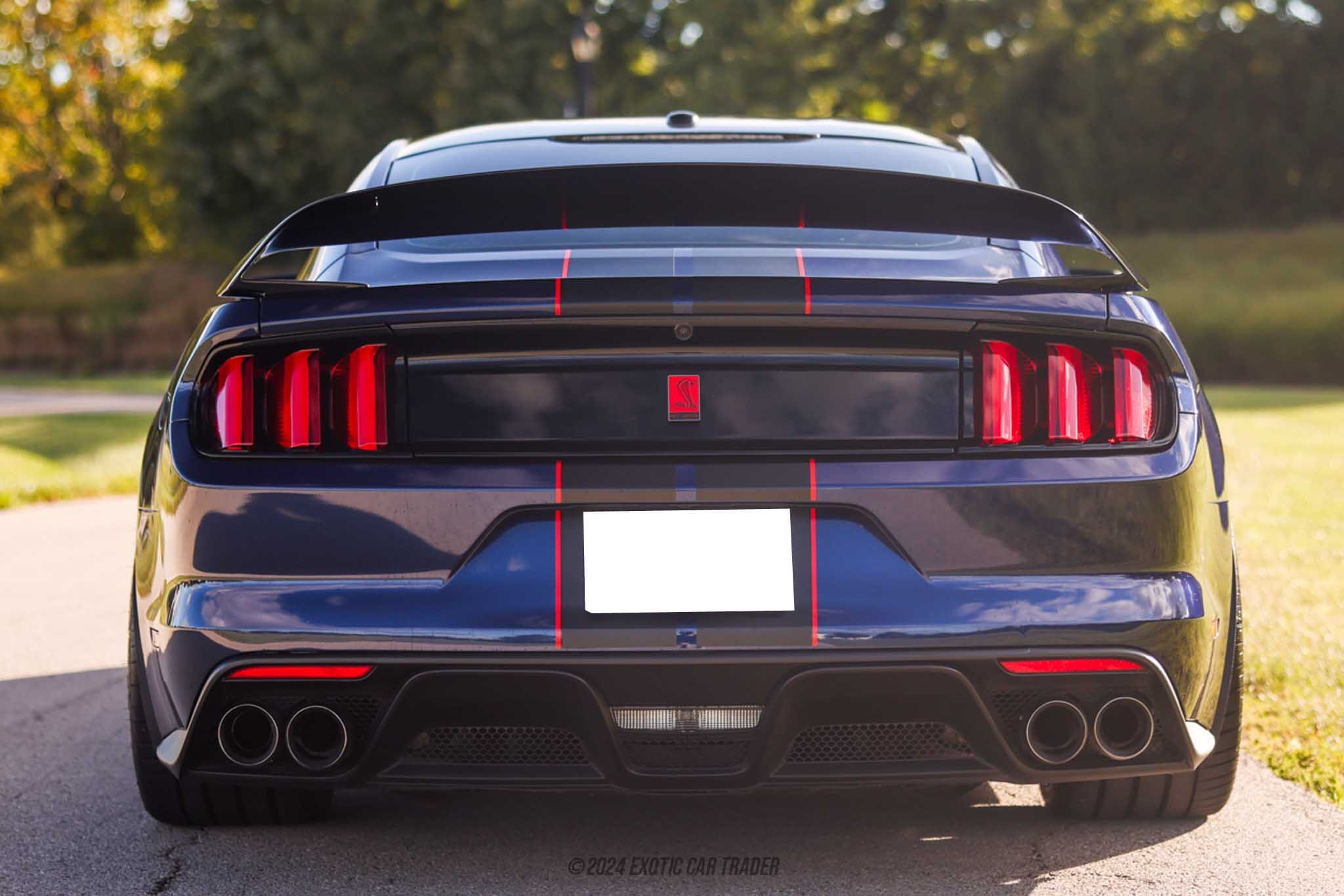 2018 Ford Mustang Shelby GT350R for sale