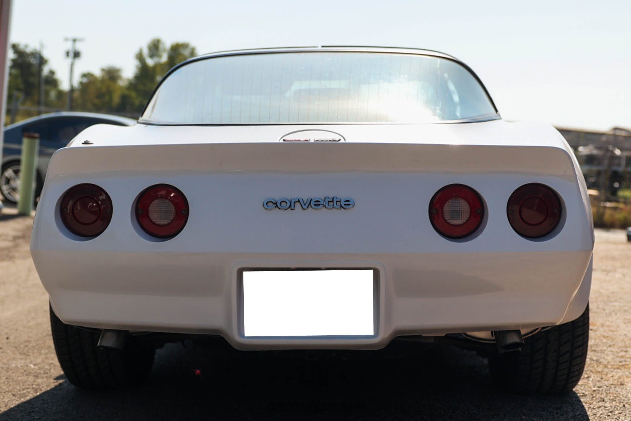 1980 Chevrolet Corvette for sale