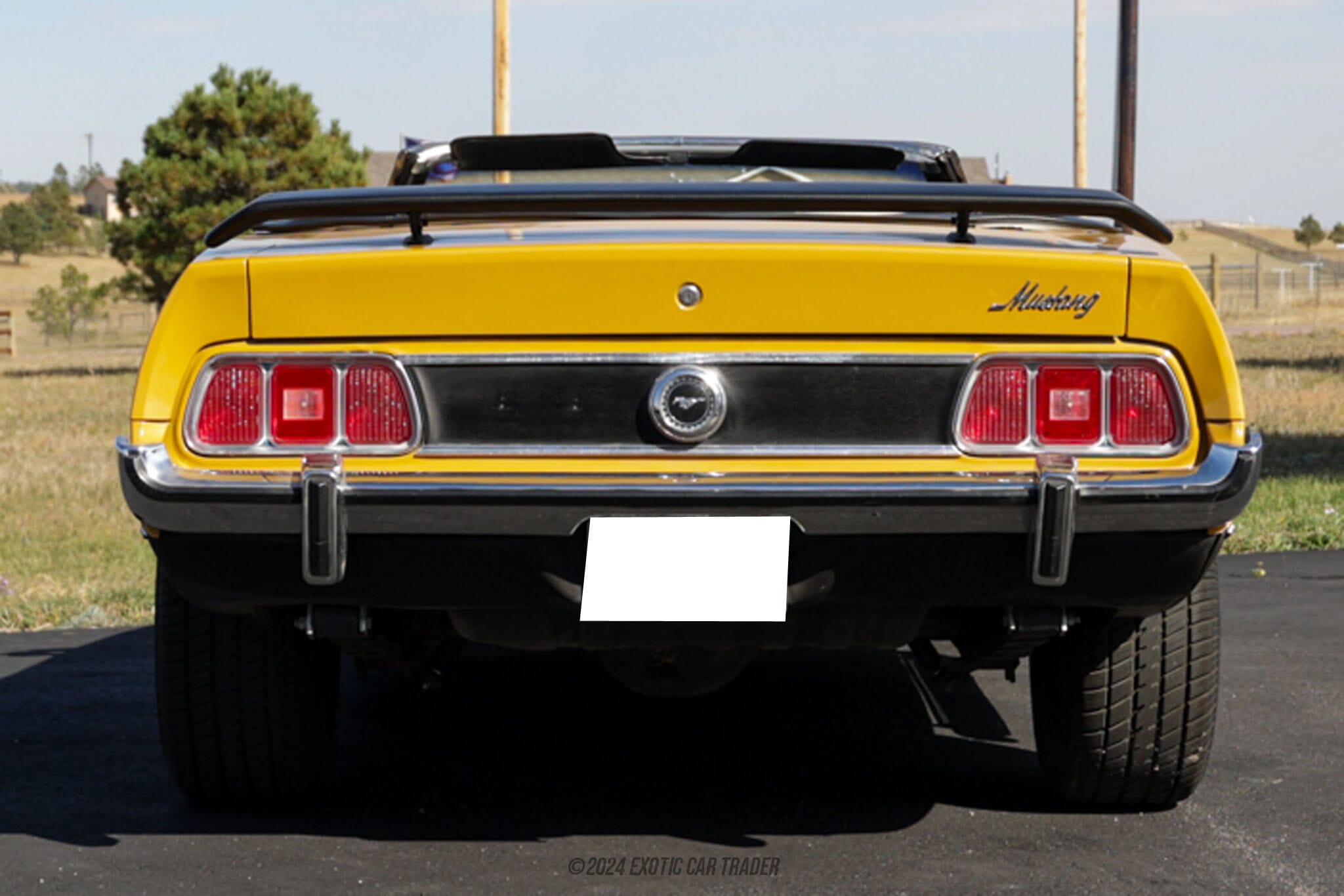 1973 Ford Mustang for sale