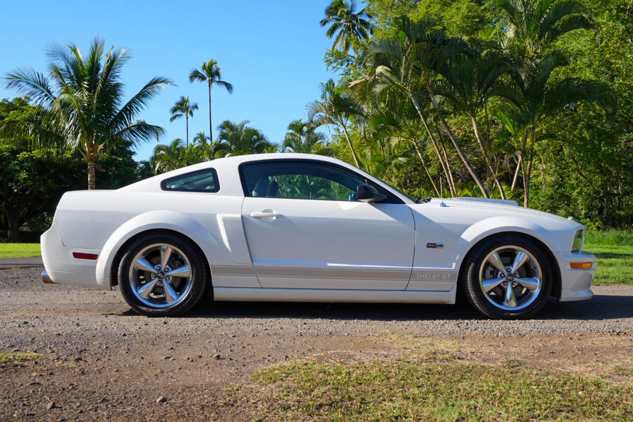 2007 Ford Mustang Shelby GT for sale