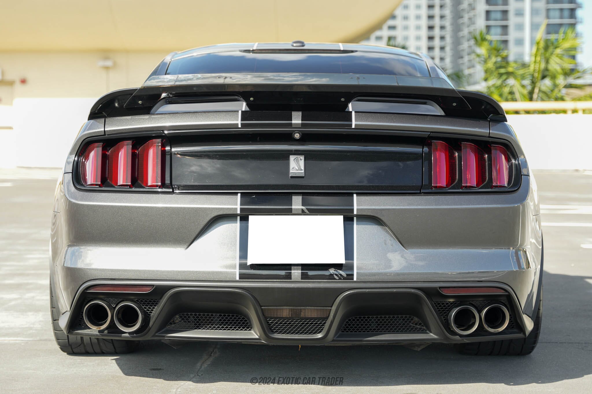 2017 Ford Mustang Shelby GT350 for sale