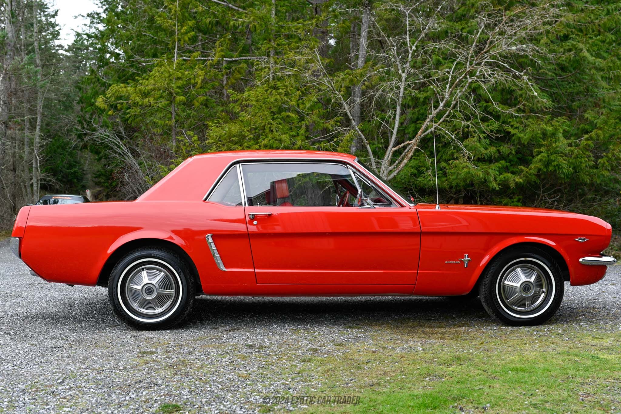 1965 Ford Mustang Coupe for sale