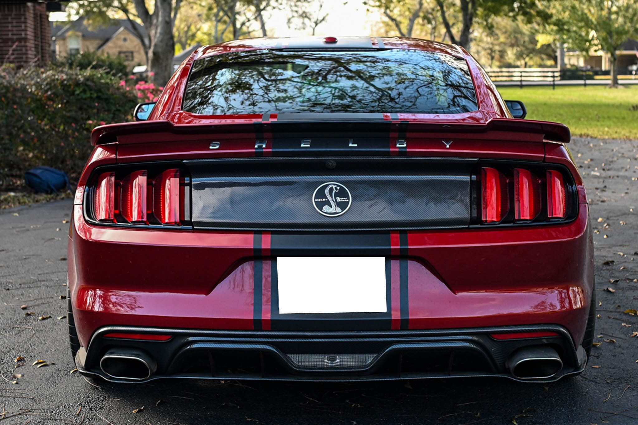 2016 Ford Mustang Shelby Super Snake for sale