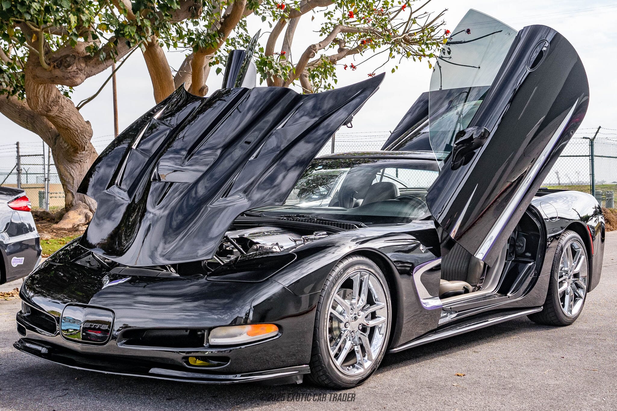 2001 Chevrolet Corvette for sale