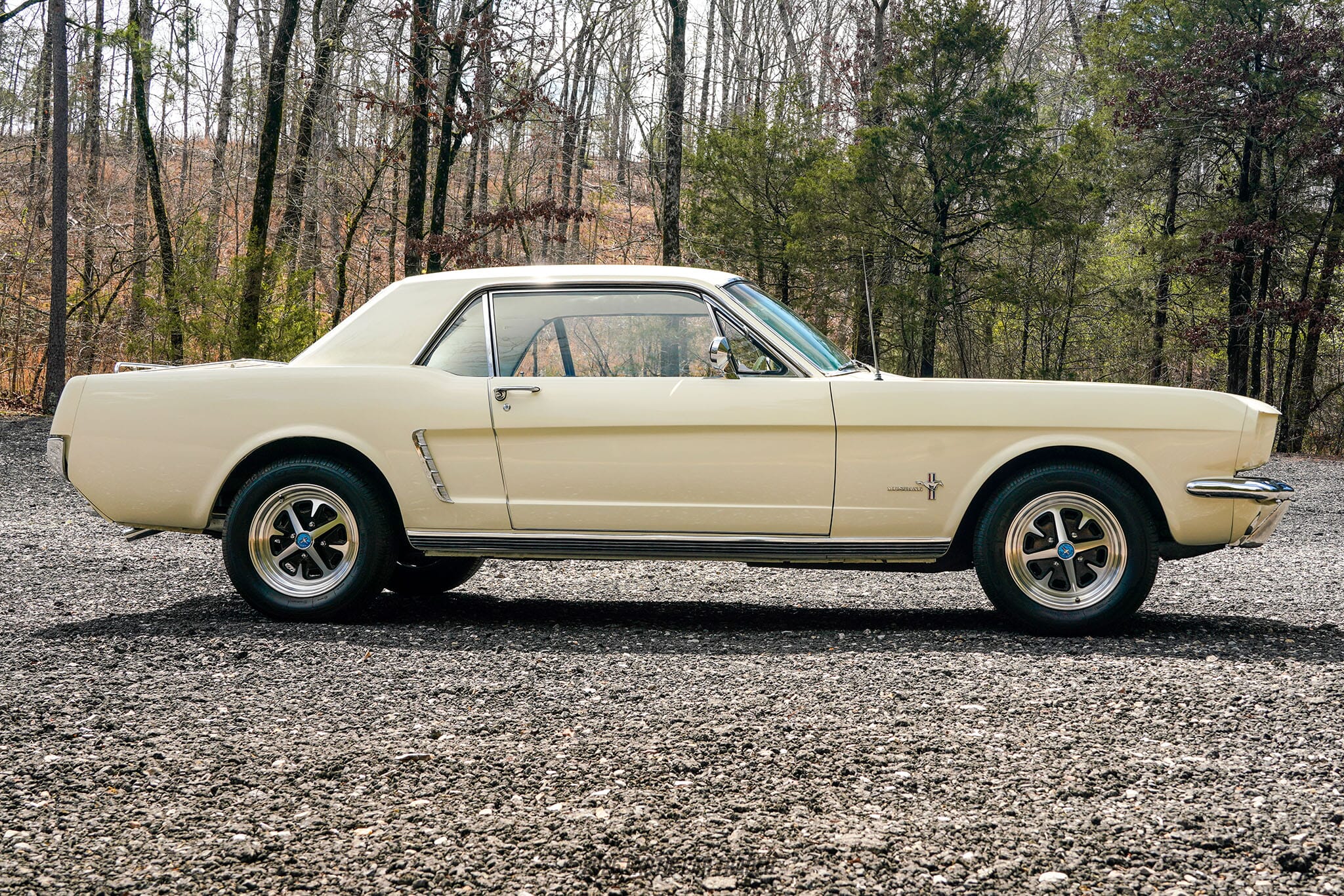 1965 Ford Mustang for sale