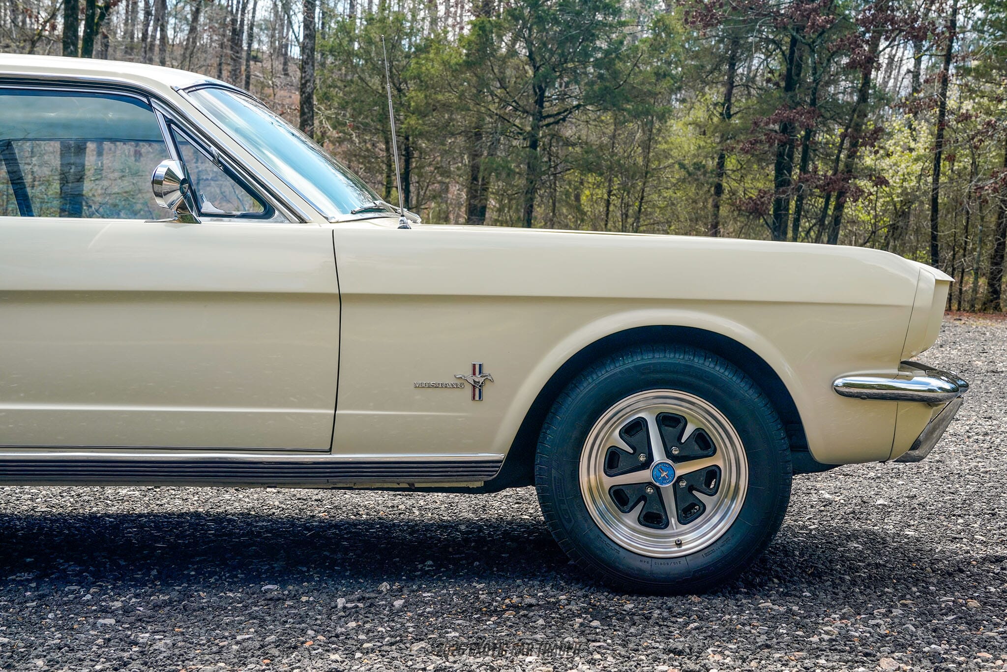 1965 Ford Mustang for sale
