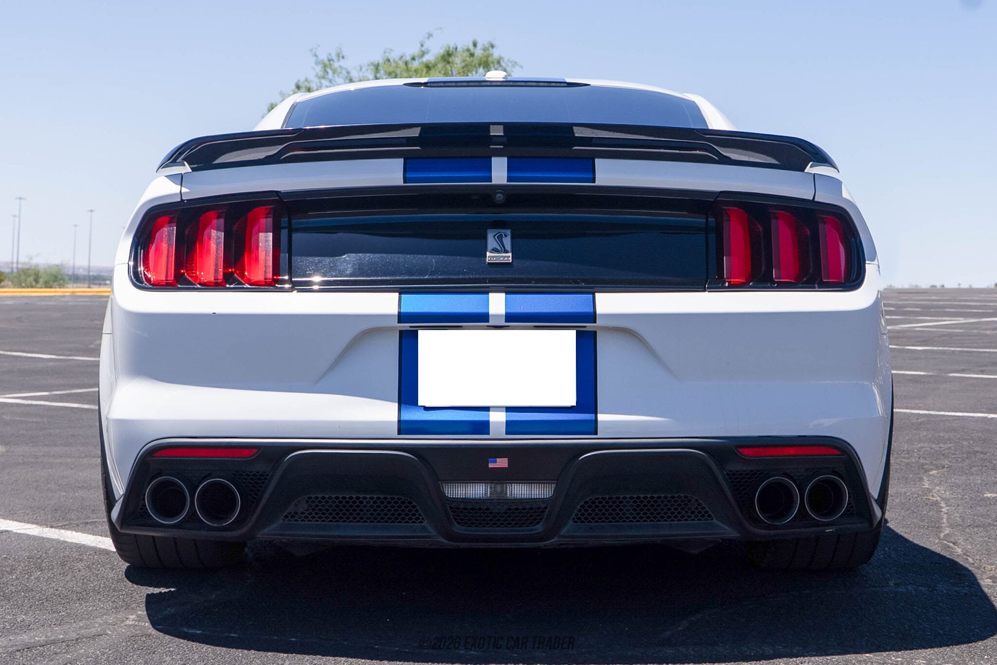 2018 Ford Mustang Shelby GT350 for sale