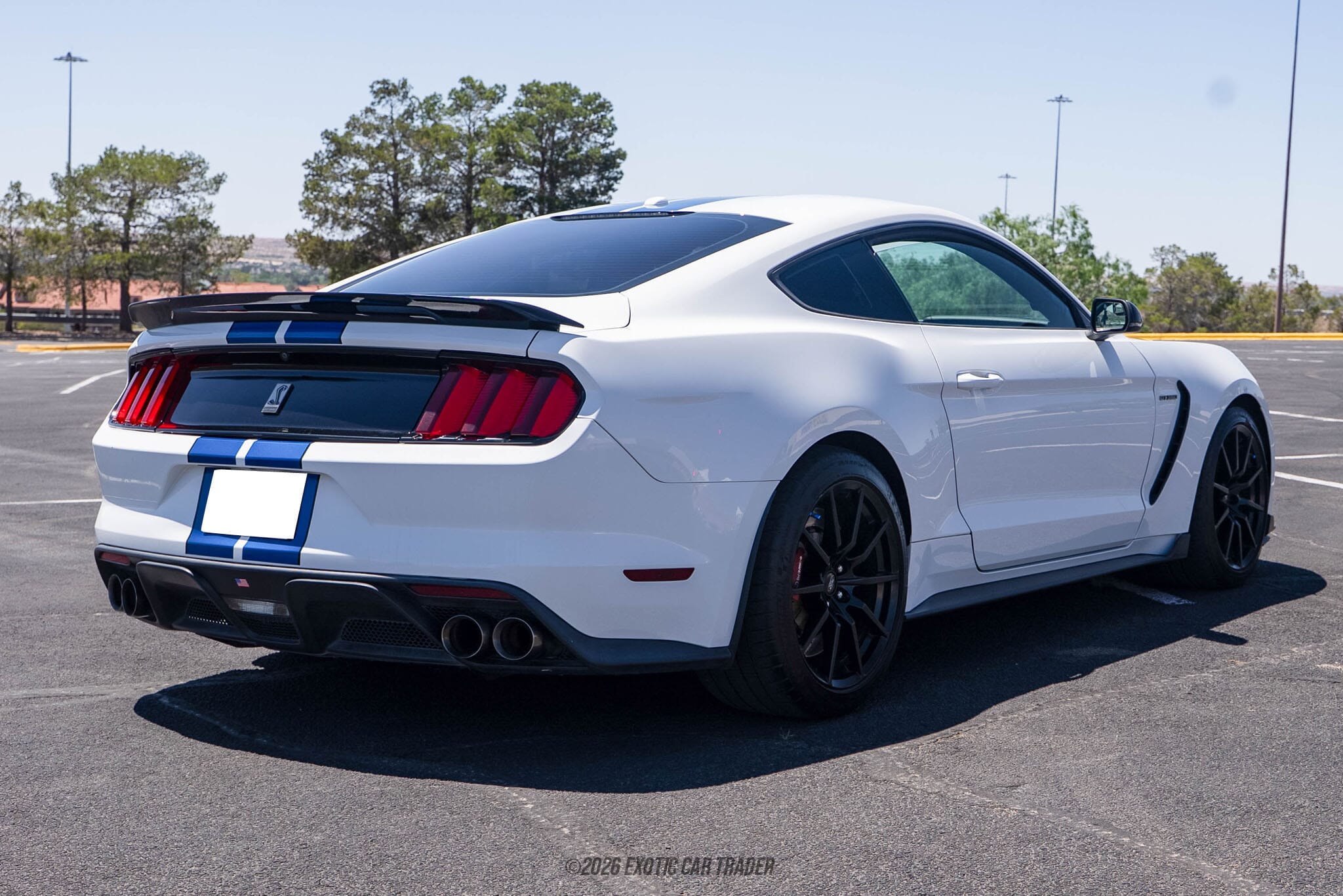 2018 Ford Mustang Shelby GT350 for sale
