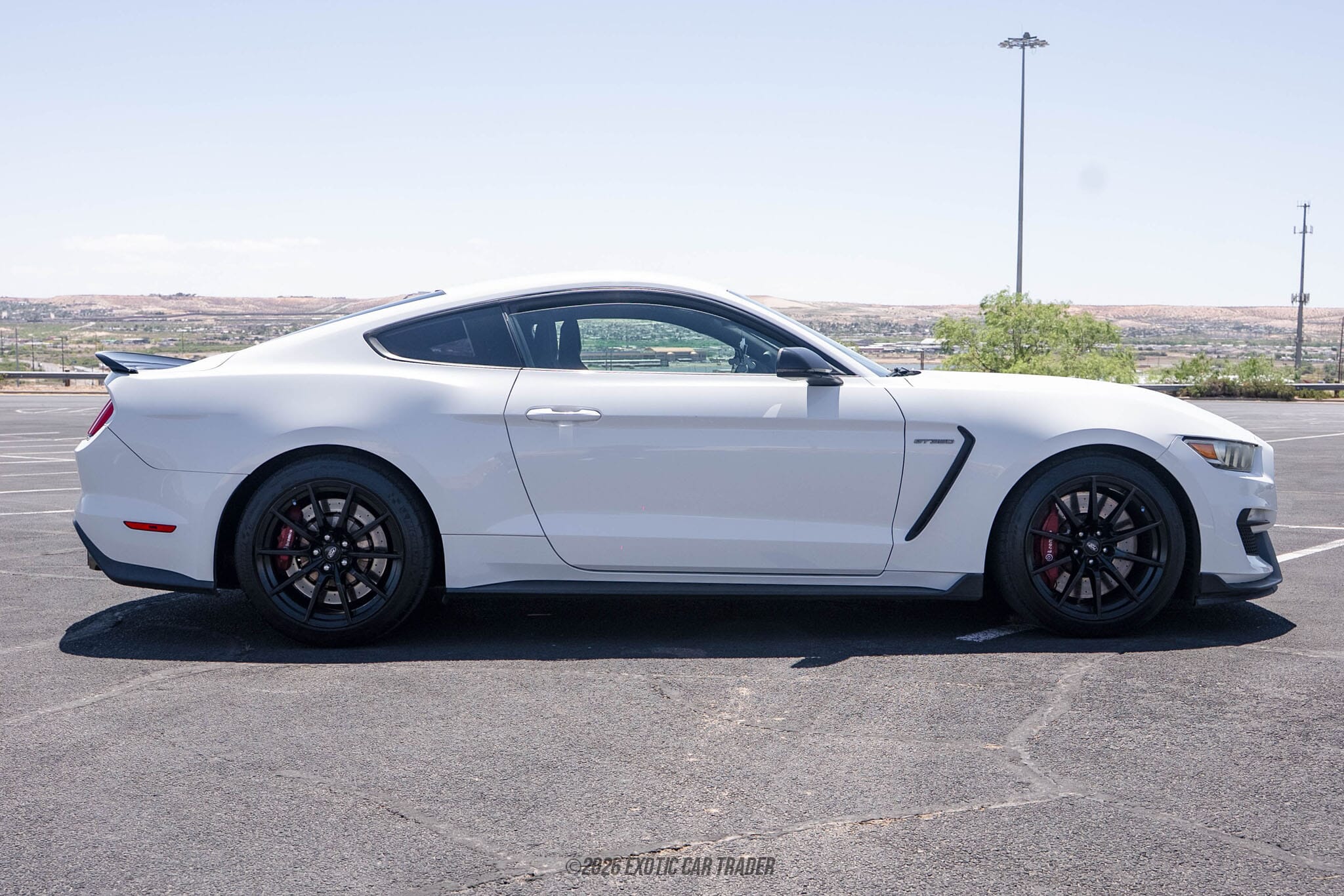 2018 Ford Mustang Shelby GT350 for sale
