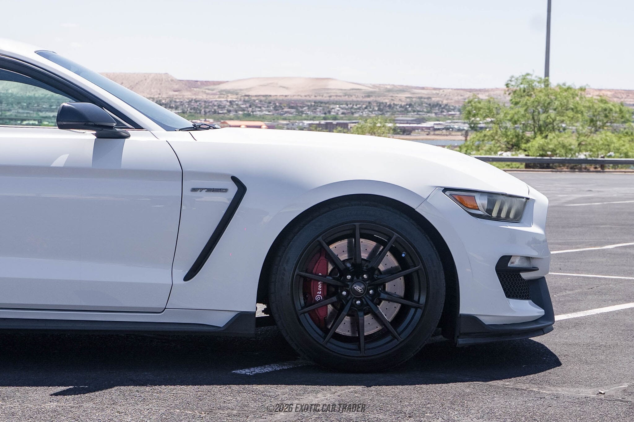 2018 Ford Mustang Shelby GT350 for sale